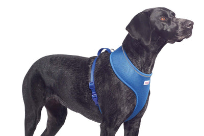 Ancol Viva Nylon Comfort Mesh Harness Blue Large 53-74cm